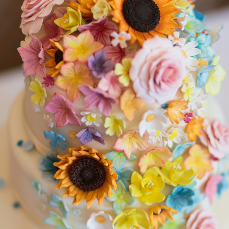 Cake from the Wish Chapter kitchen